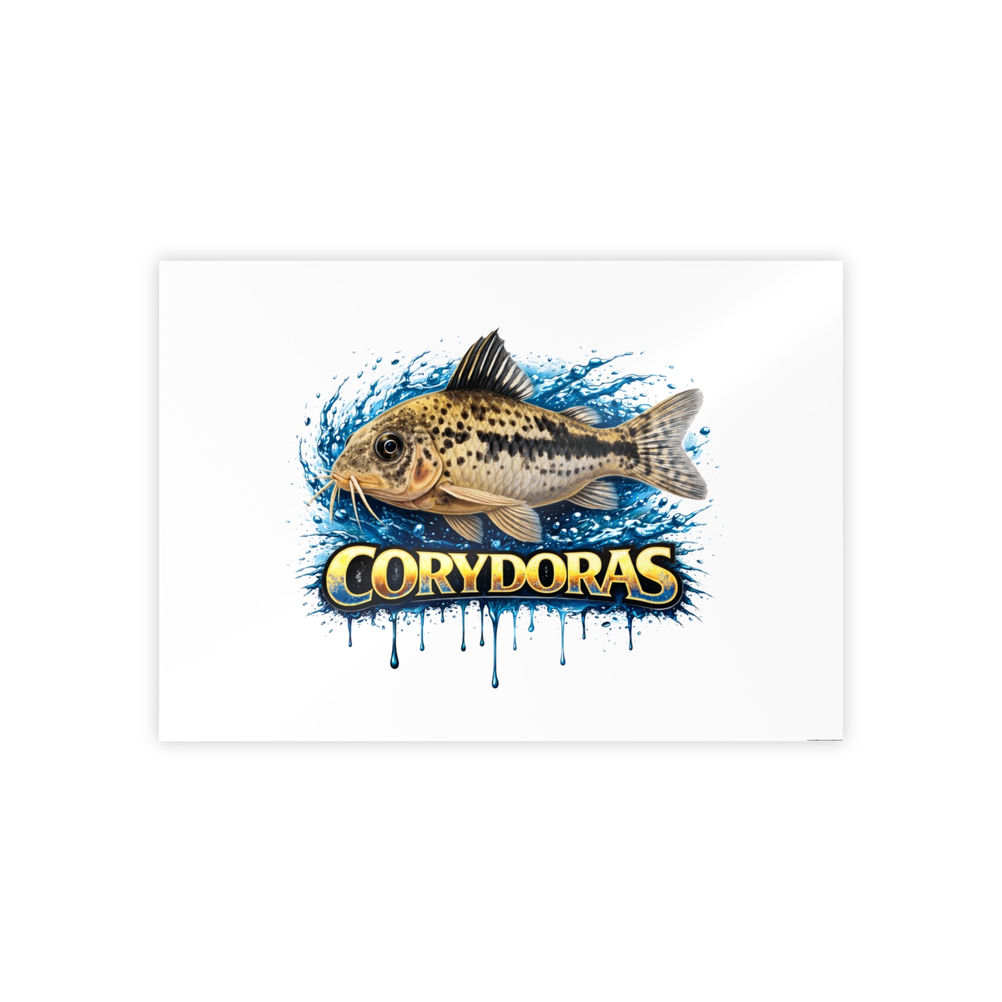 Corydoras Fish Gloss Poster – Aquarium Artwork Print