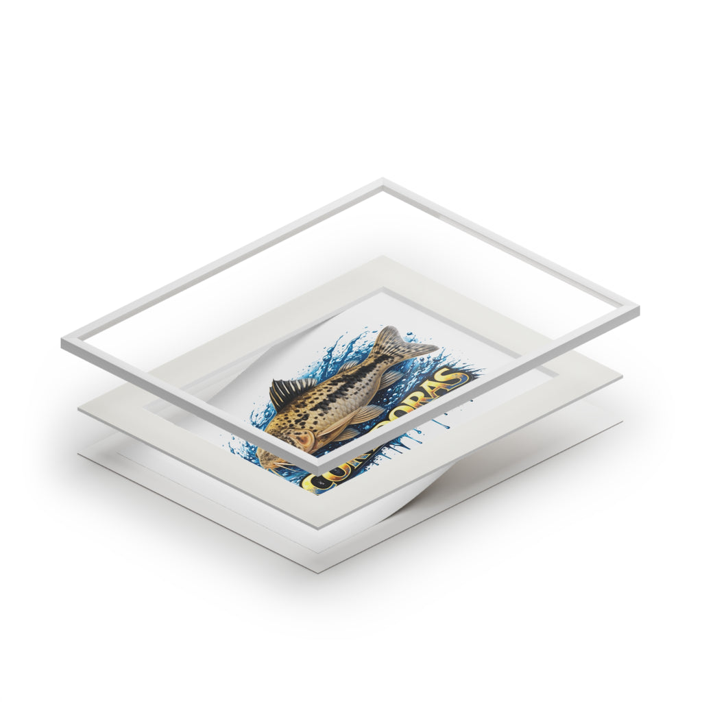 Peppered Corydoras Fish Fine Art Print with Passepartout Frame