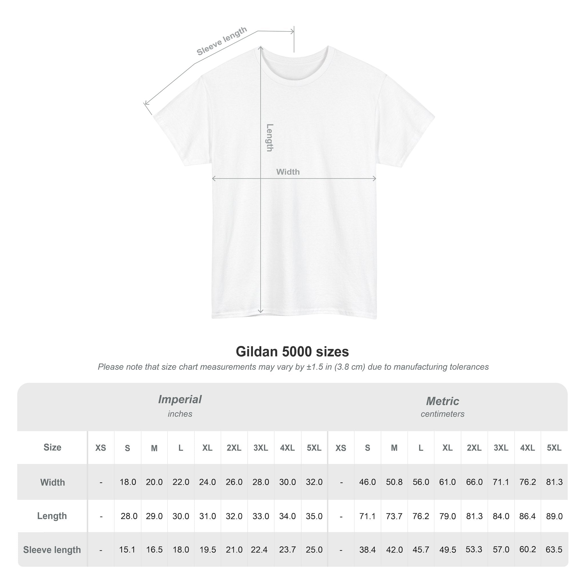 The Eternal Wars Graphic Tee – "Cambria" Winged Warrior Shirt