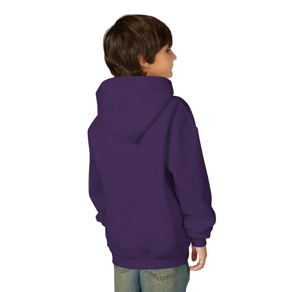 Youth Angelfish Hoodie - Colorful Aquarium Fish Graphic Sweatshirt