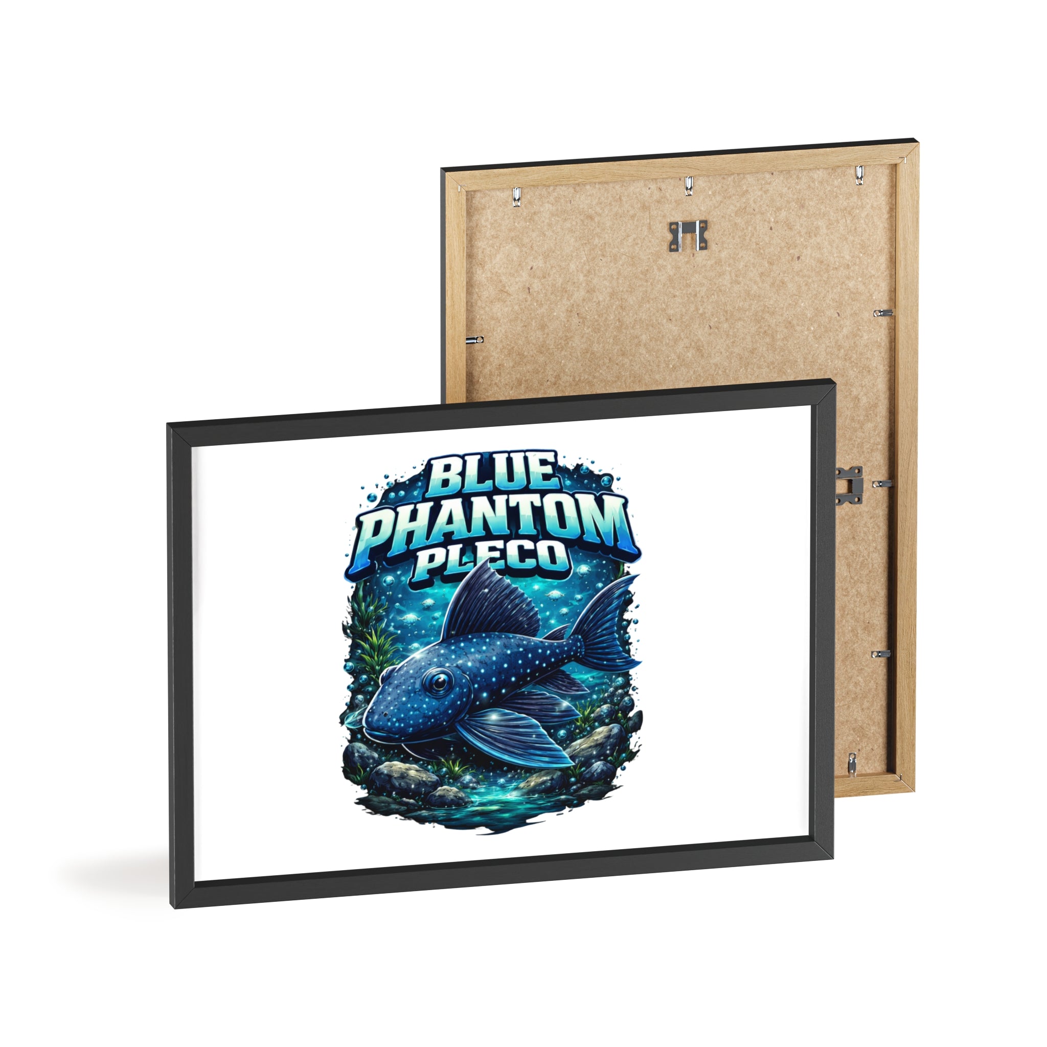Blue Phantom Pleco Poster — Framed Aquarium Fish Wall Art