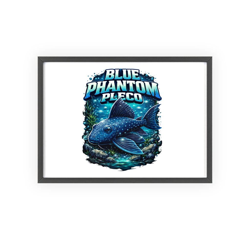 Blue Phantom Pleco Poster — Framed Aquarium Fish Wall Art