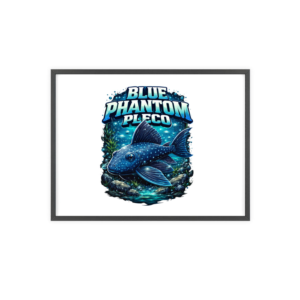 Blue Phantom Pleco Poster — Framed Aquarium Fish Wall Art