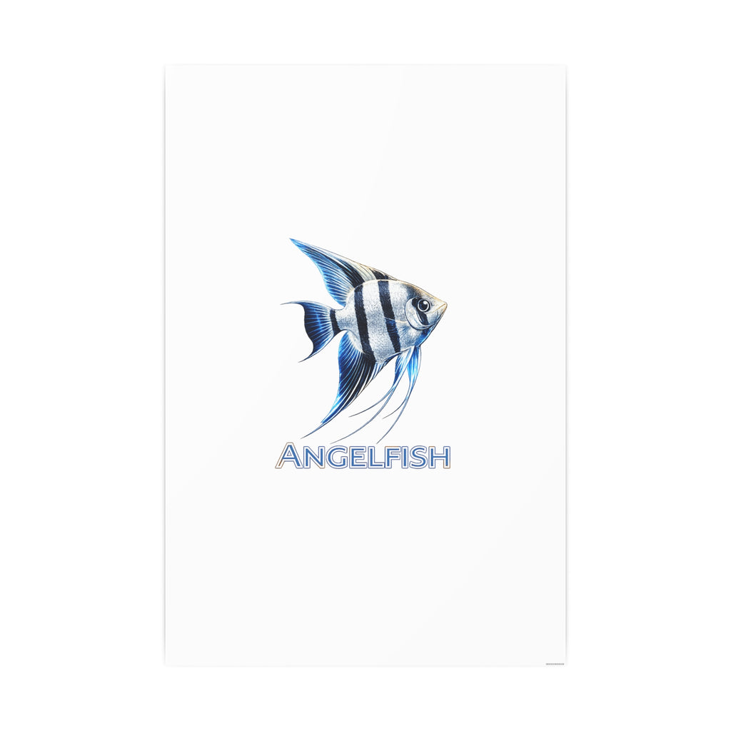 Angelfish – Premium Satin Photo Art Poster