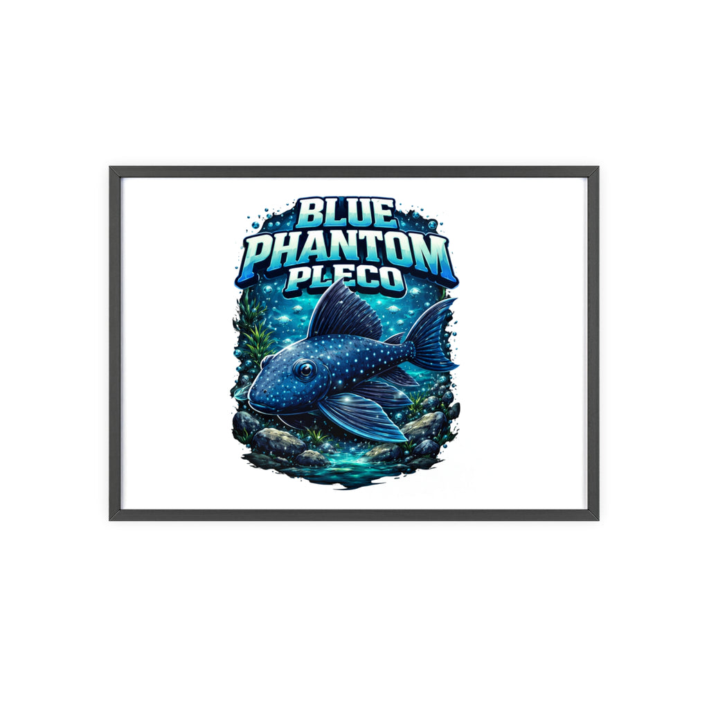 Blue Phantom Pleco Poster — Framed Aquarium Fish Wall Art