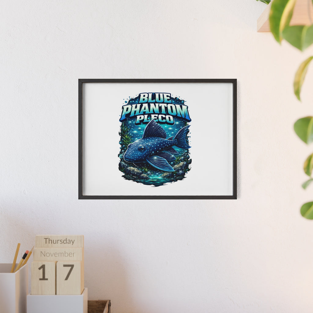 Blue Phantom Pleco Poster — Framed Aquarium Fish Wall Art