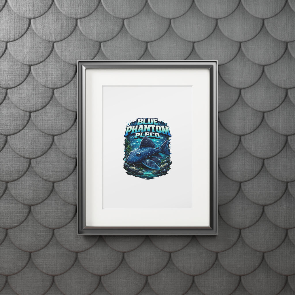 Blue Phantom Pleco Fine Art Print (Passepartout Frame)