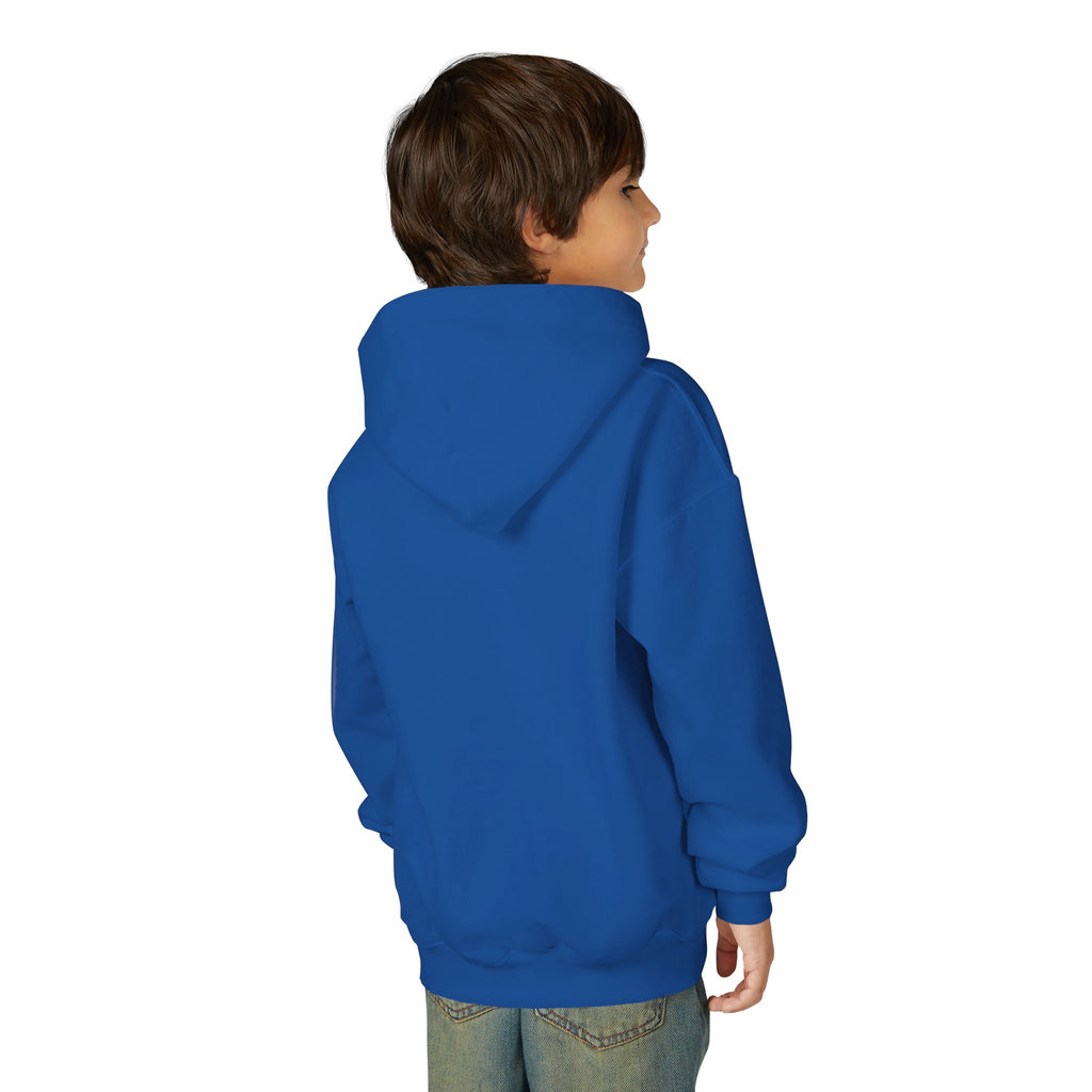 Youth Angelfish Hoodie - Colorful Aquarium Fish Graphic Sweatshirt