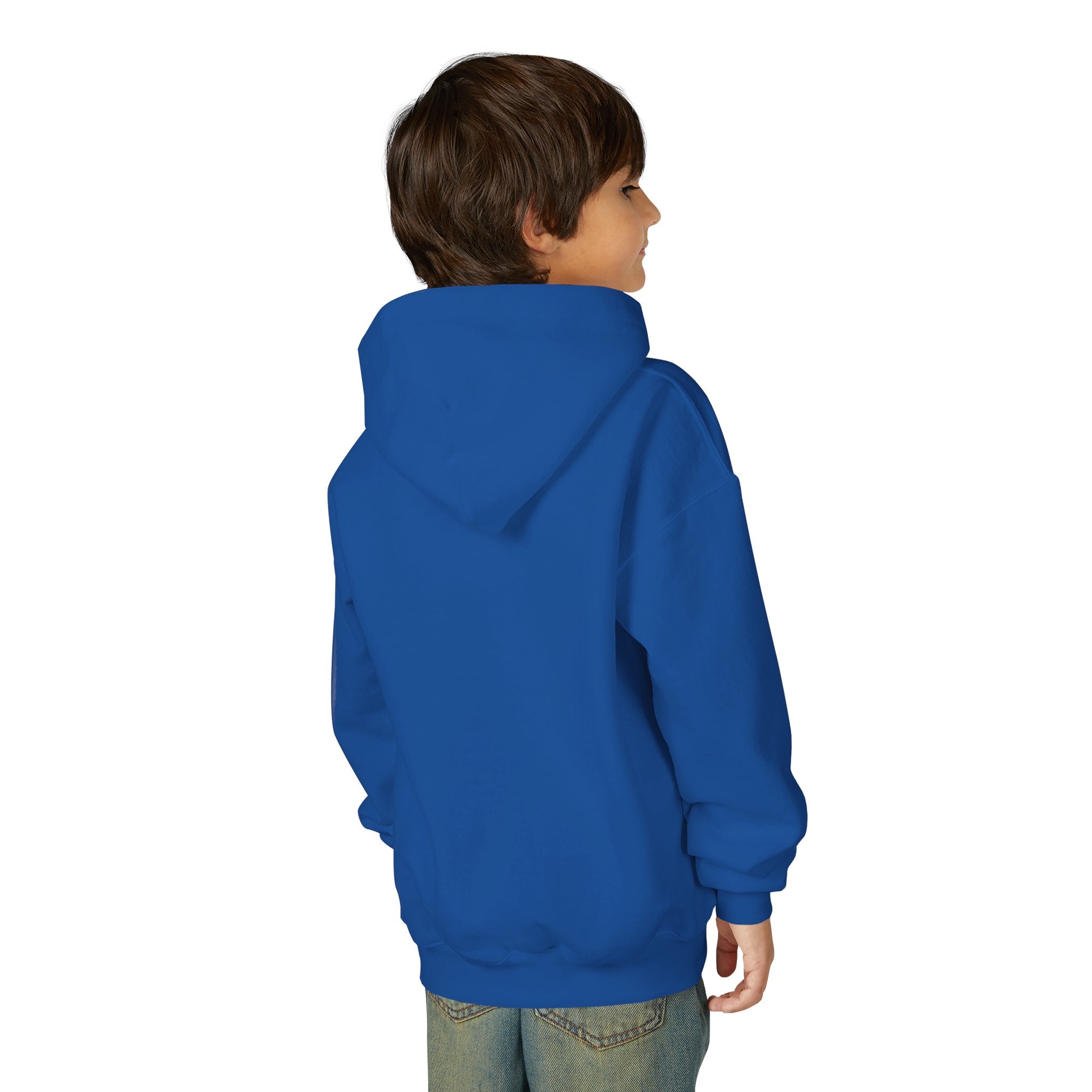Youth Angelfish Hoodie - Colorful Aquarium Fish Graphic Sweatshirt