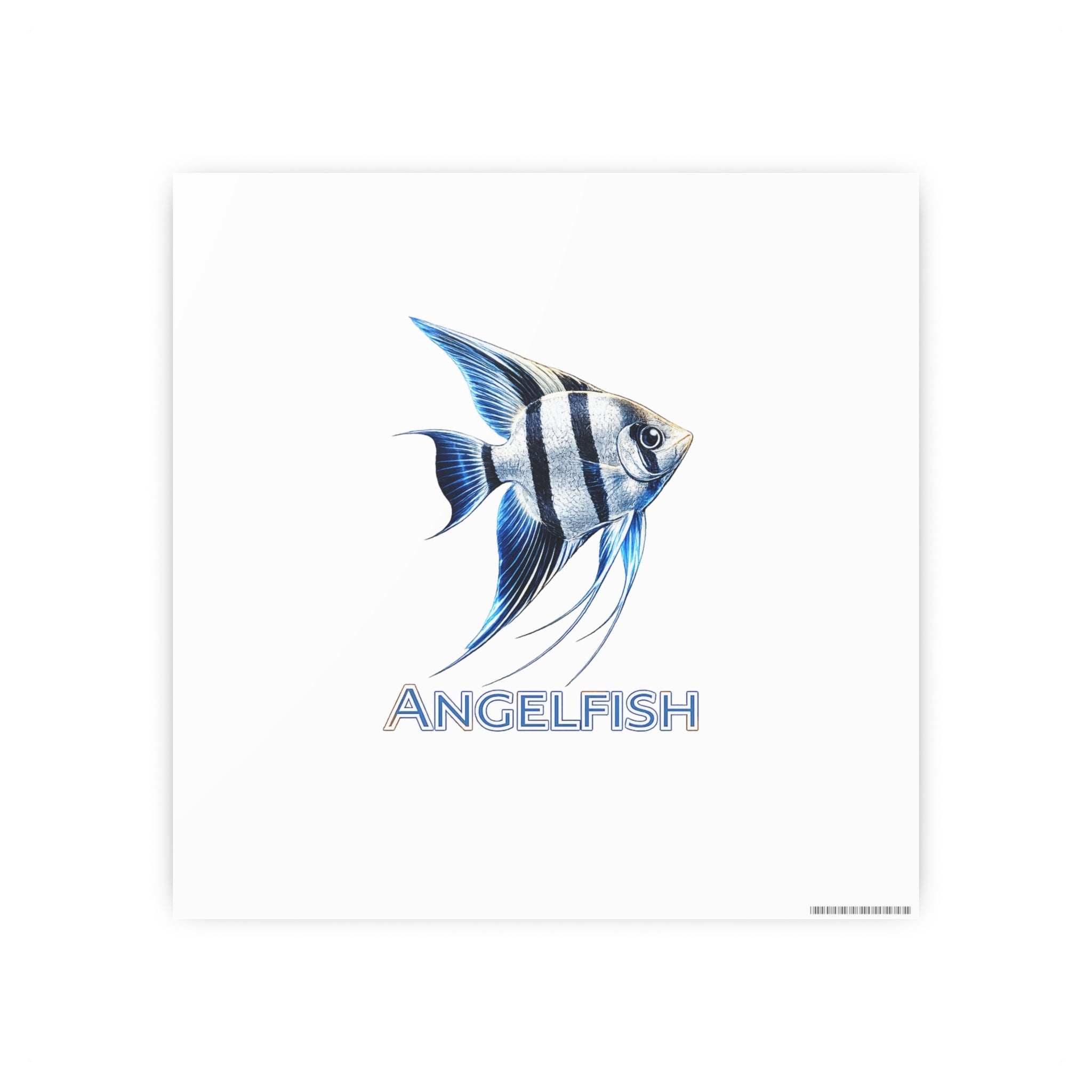 Angelfish – Premium Satin Photo Art Poster