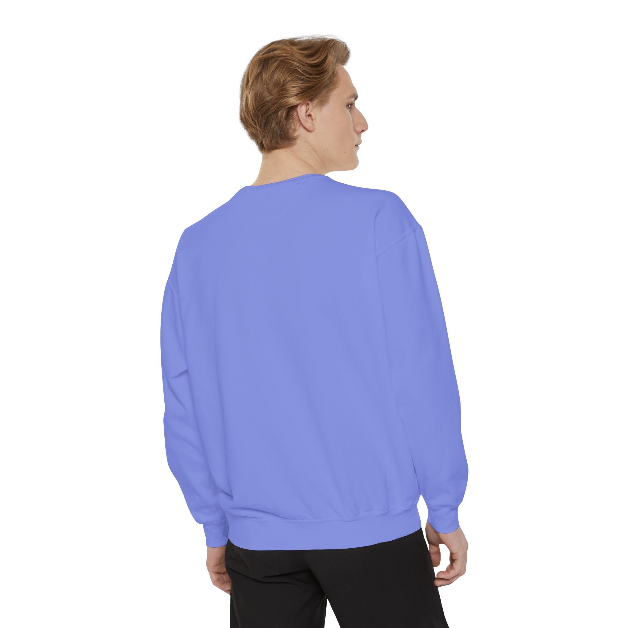 Angelfish Art Sweatshirt — Colorful Aquarium Fish Graphic Sweatshirt