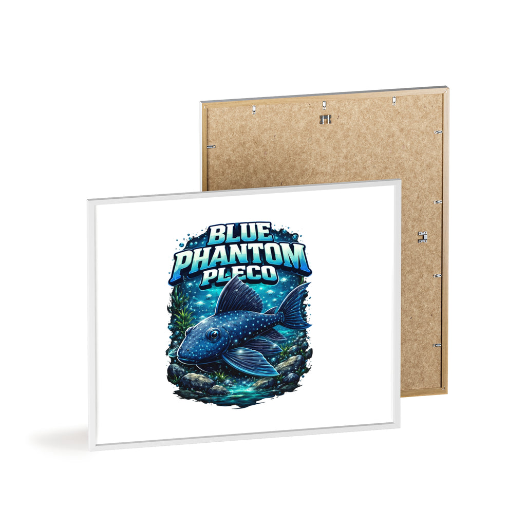 Blue Phantom Pleco Poster — Framed Aquarium Fish Wall Art