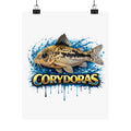 Corydoras Fish Matte Poster — Aquarium Lover Wall Art