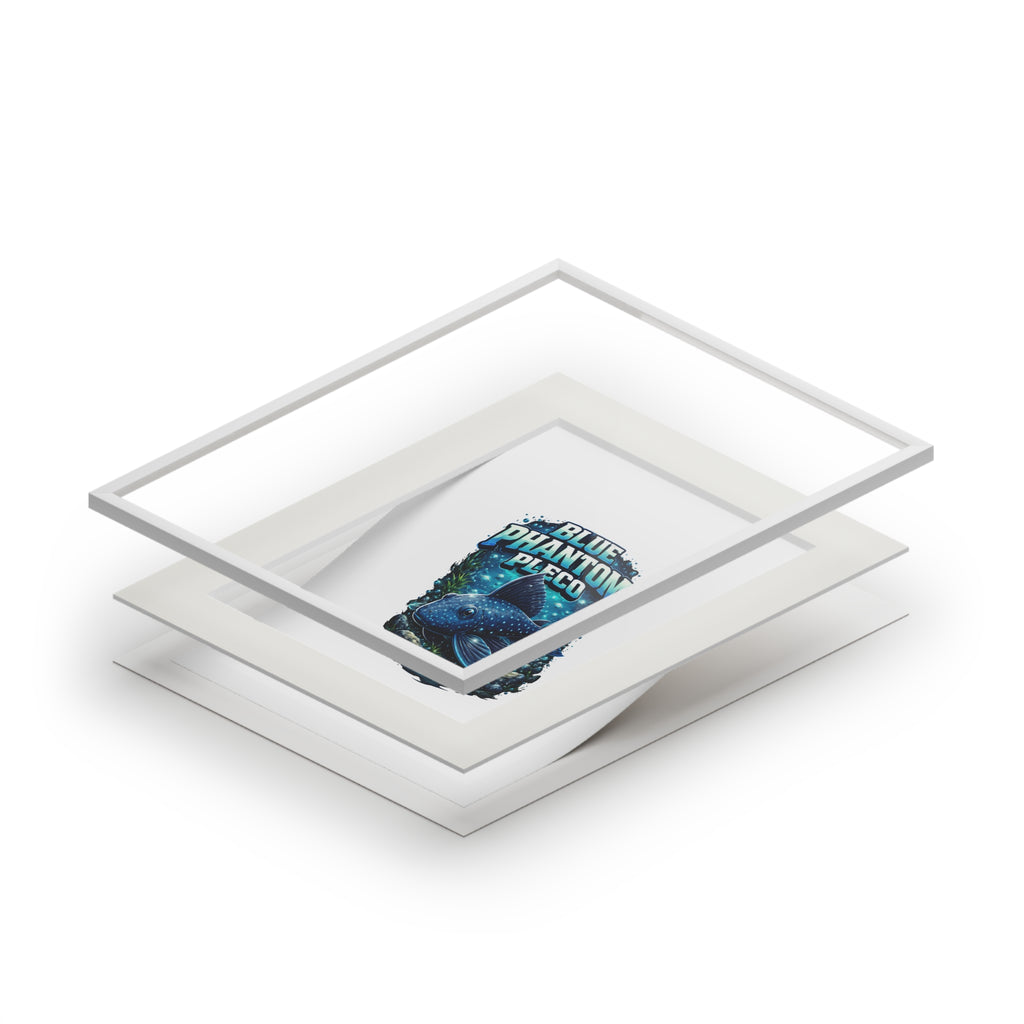 Blue Phantom Pleco Fine Art Print (Passepartout Frame)