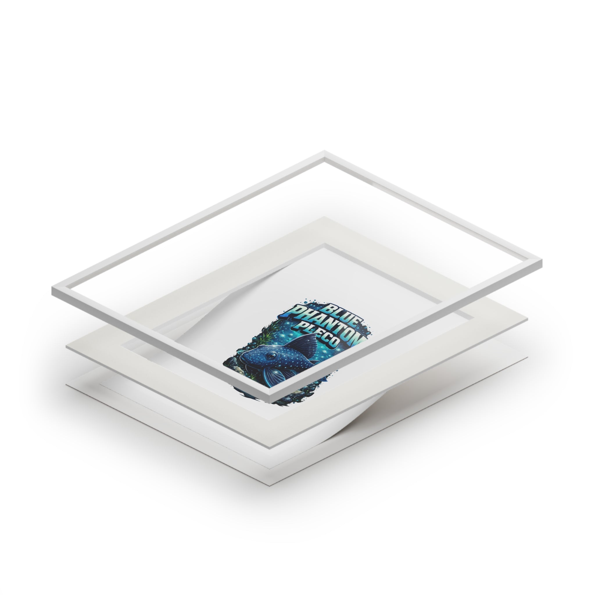 Blue Phantom Pleco Fine Art Print (Passepartout Frame)